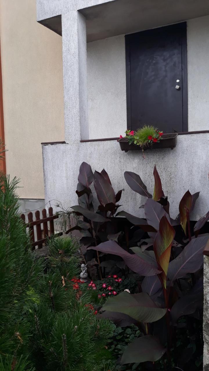 Sauliaus Apartamentai Panevėžys Esterno foto